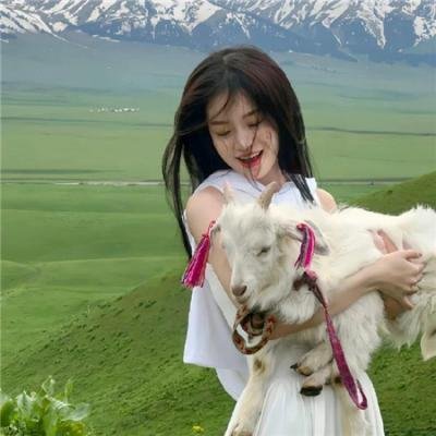 律政英雄新电影版海报