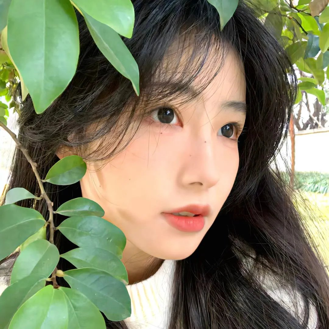 热带的甜蜜海报