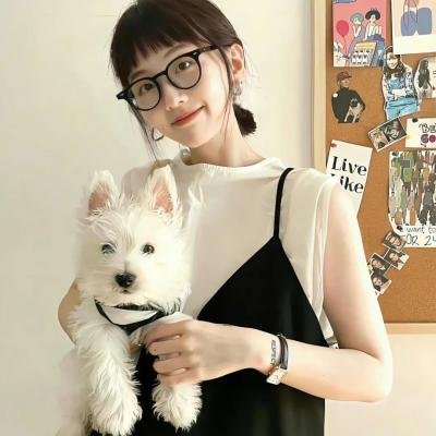 哈林教父第三季海报