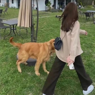 不一样的爱人国语海报